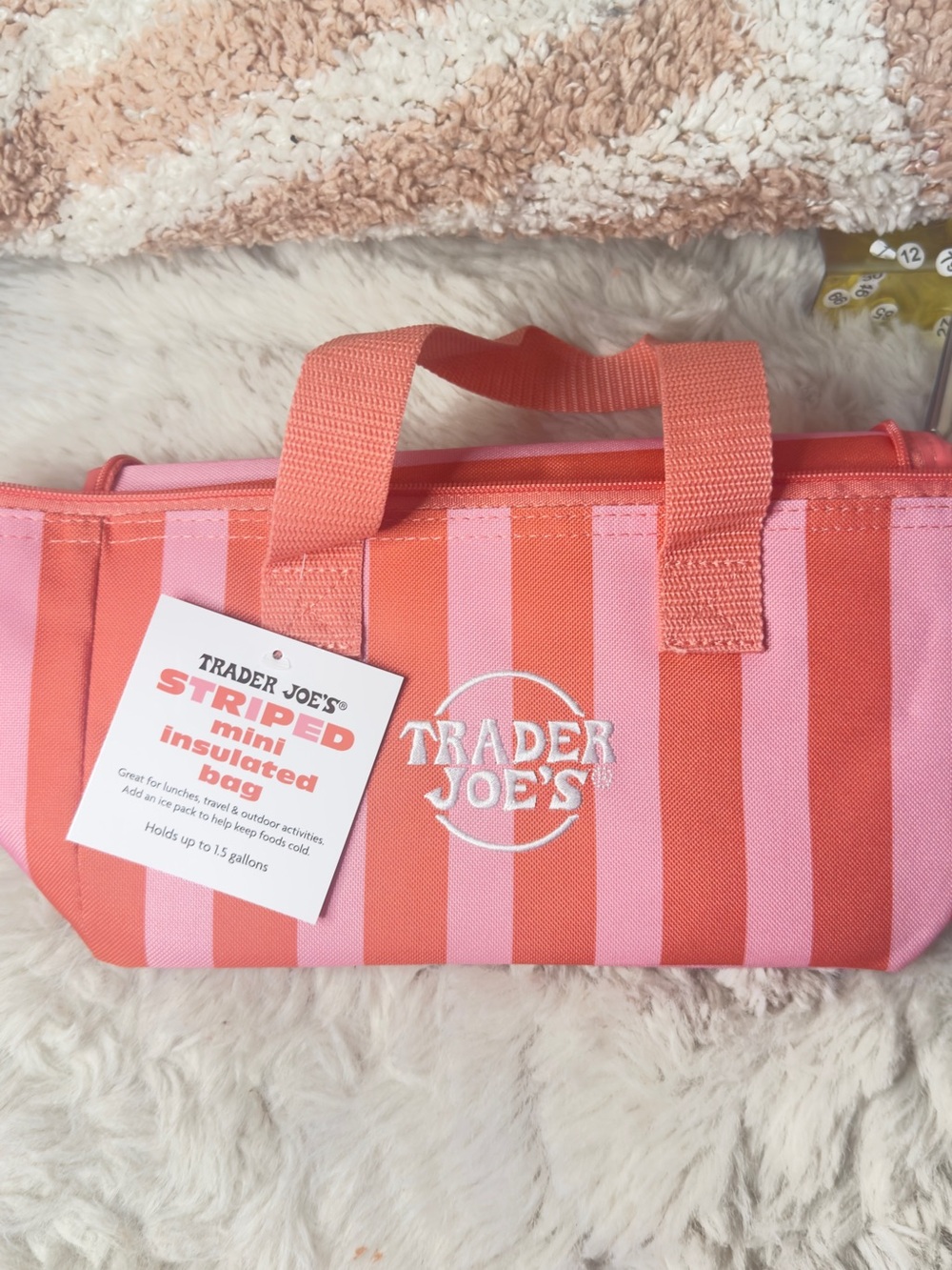 Striped Mini Insulated Bag - Pink/Coral